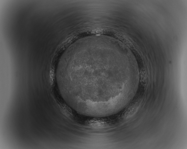 X0000097810648200803201418