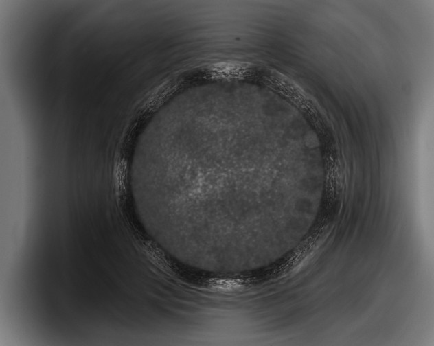 X0000097810649200803201418