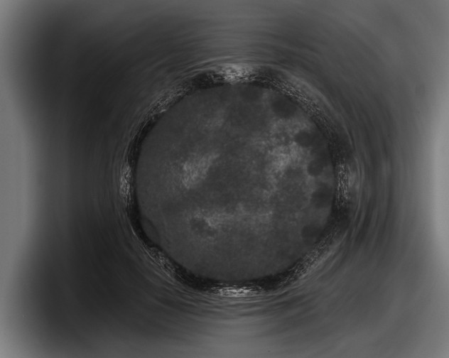 X0000097810650200803201418