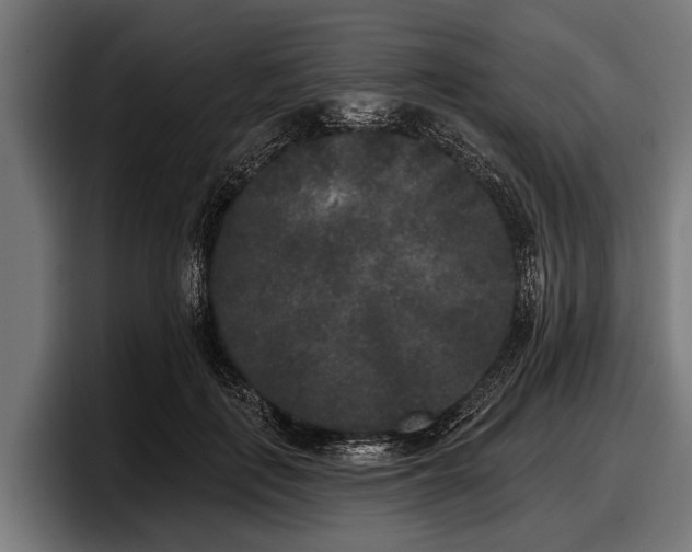 X0000097810651200803201418