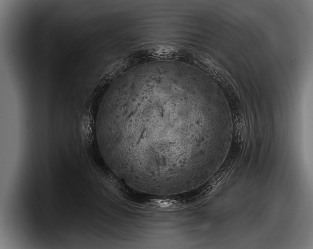 X0000097810654200803201418
