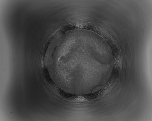 X0000097810656200803201418