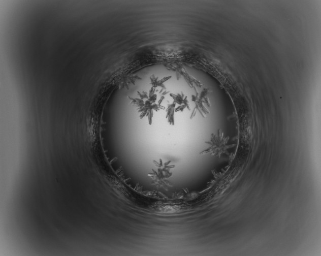 X0000097810658200803201418