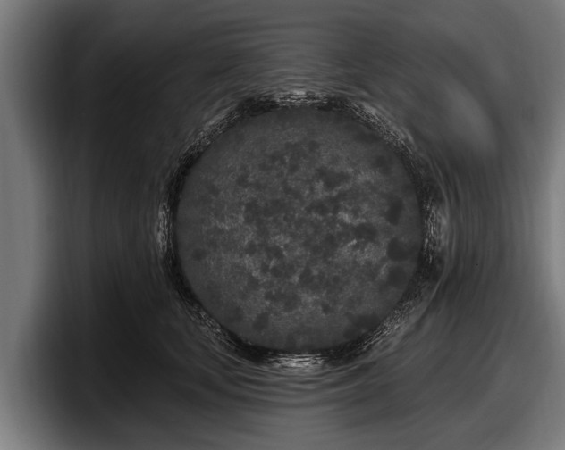 X0000097810659200803201418