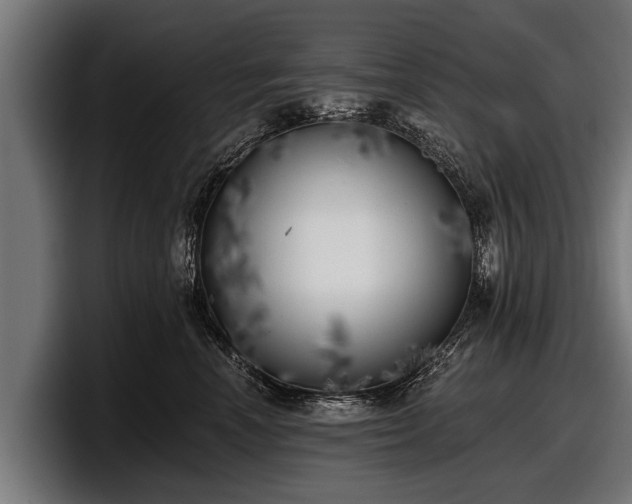 X0000097810666200803201418