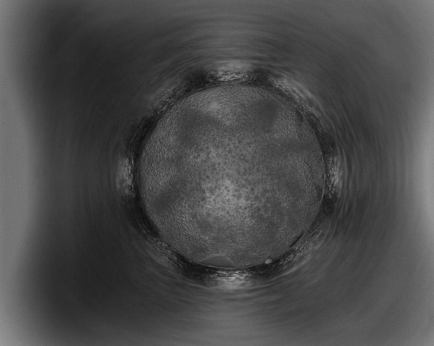 X0000097810667200803201418