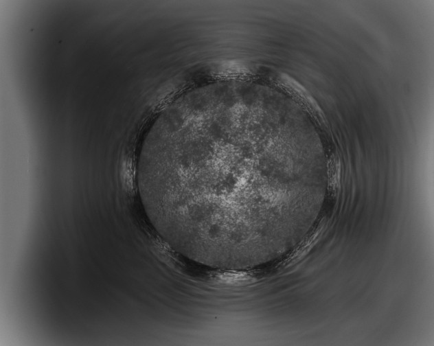 X0000097810669200803201418