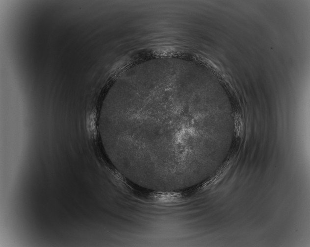 X0000097810670200803201419