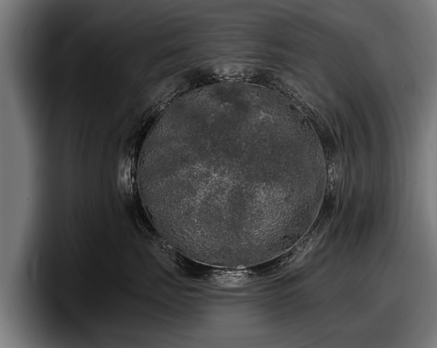 X0000097810671200803201419