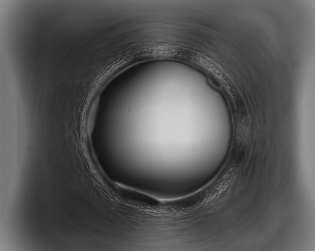 X0000097810673200803201418