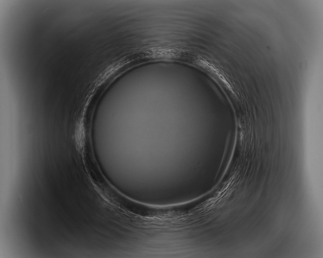 X0000097810674200803201418