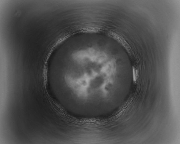 X0000097810675200803201418