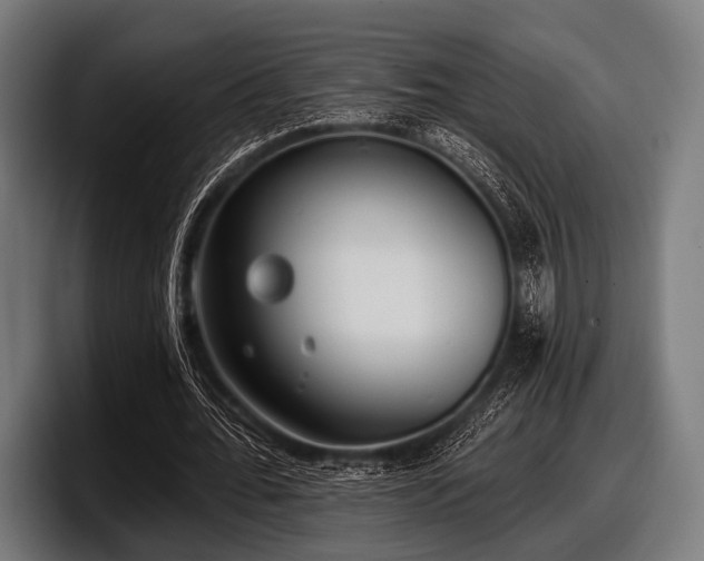 X0000097810676200803201418