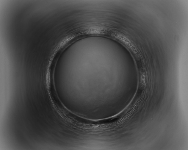 X0000097810678200803201418