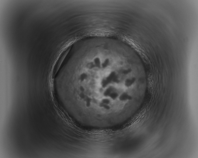 X0000097810679200803201418