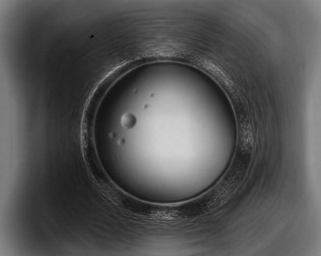 X0000097810680200803201418