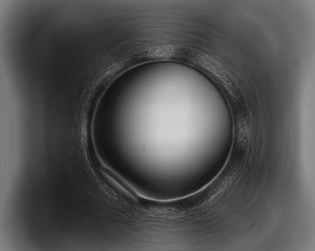 X0000097810681200803201418