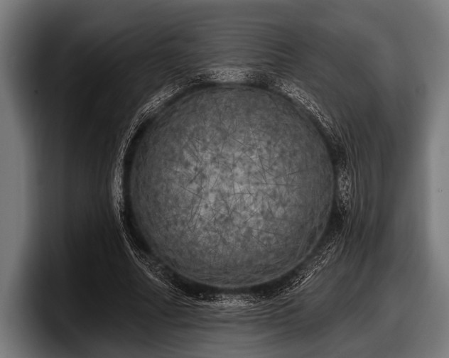 X0000097810682200803201418