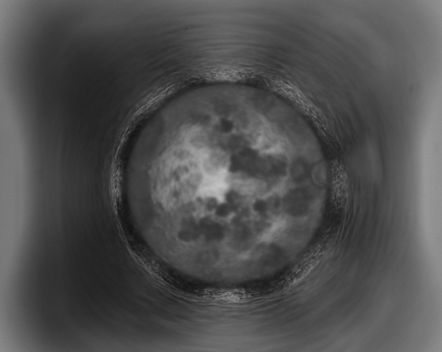 X0000097810683200803201418