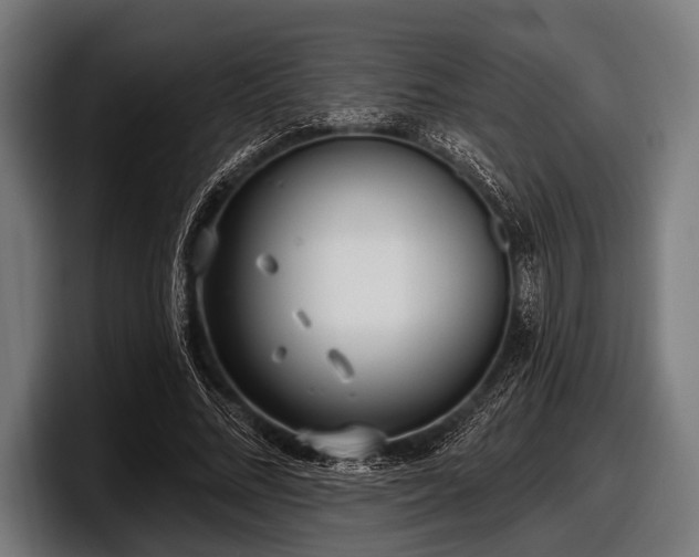 X0000097810684200803201418