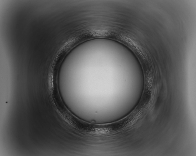 X0000097810686200803201418