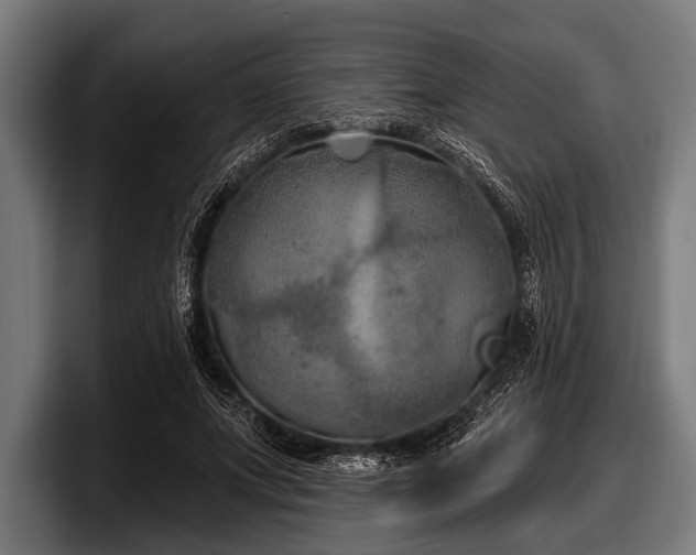 X0000097810687200803201418