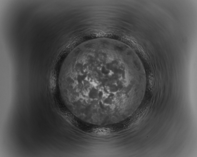 X0000097810691200803201418