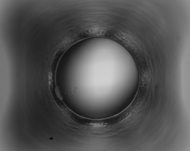 X0000097810693200803201418