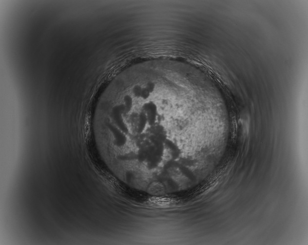 X0000097810699200803201418