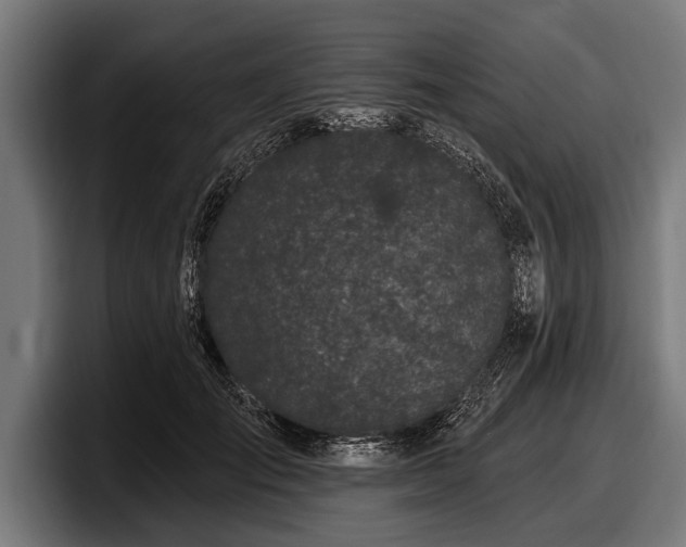 X0000097810701200803201418