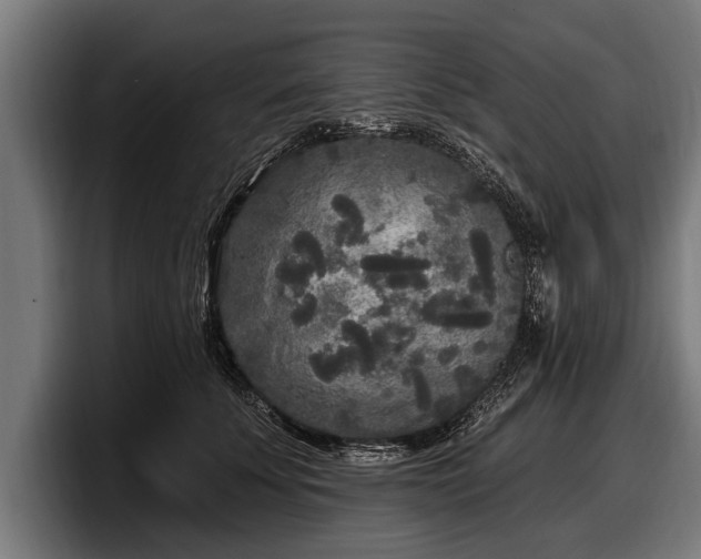 X0000097810707200803201417