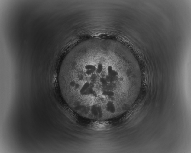 X0000097810711200803201417