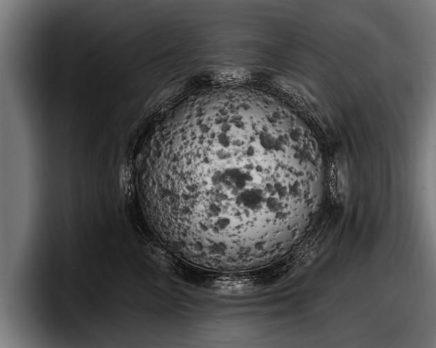 X0000097810714200803201417