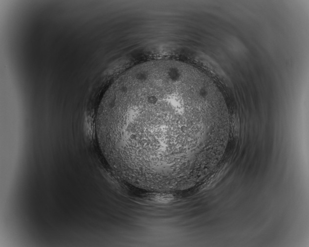 X0000097810719200803201417