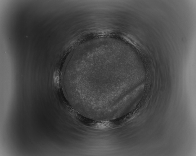 X0000097810720200803201417