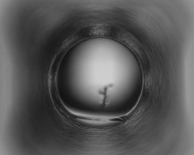 X0000097810722200803201417