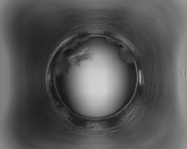 X0000097810723200803201417