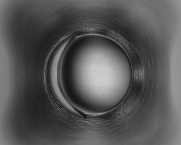 X0000097810724200803201417