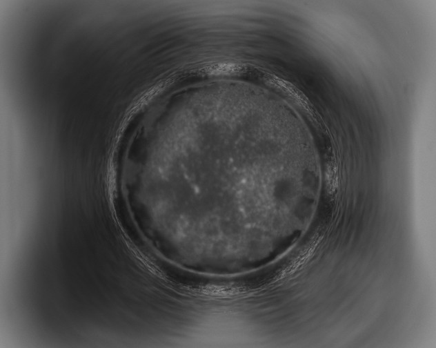 X0000097810725200803201417