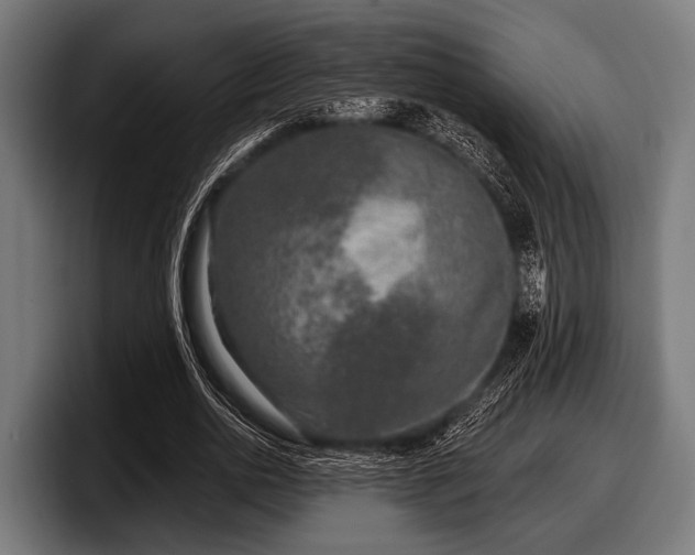 X0000097810726200803201417