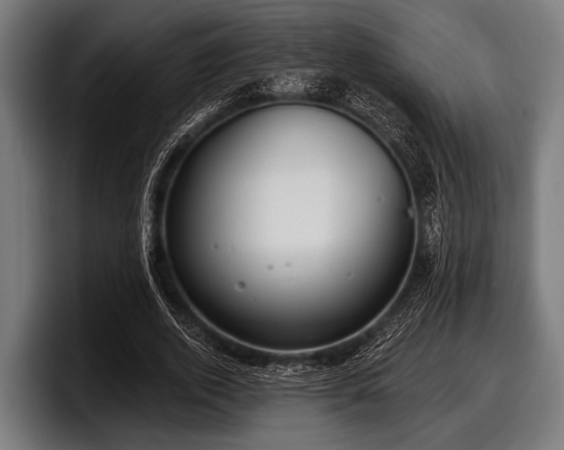 X0000097810728200803201417