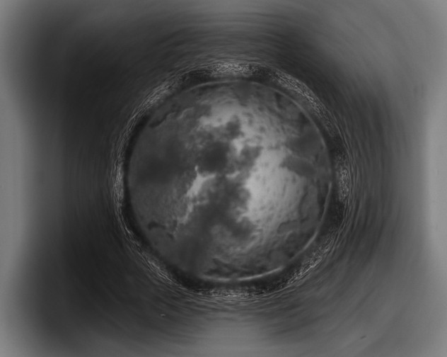 X0000097810729200803201417