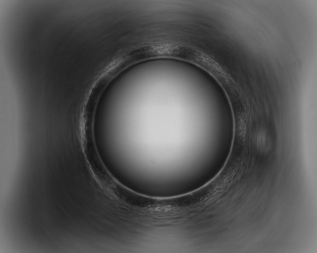 X0000097810730200803201417