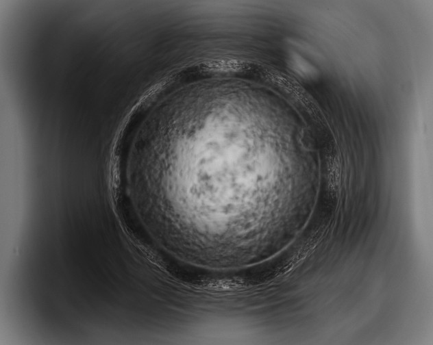 X0000097810731200803201417