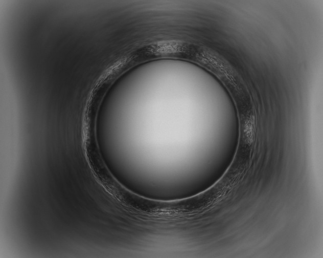 X0000097810732200803201417