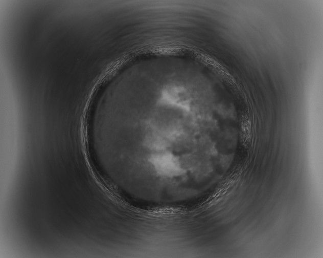 X0000097810734200803201417