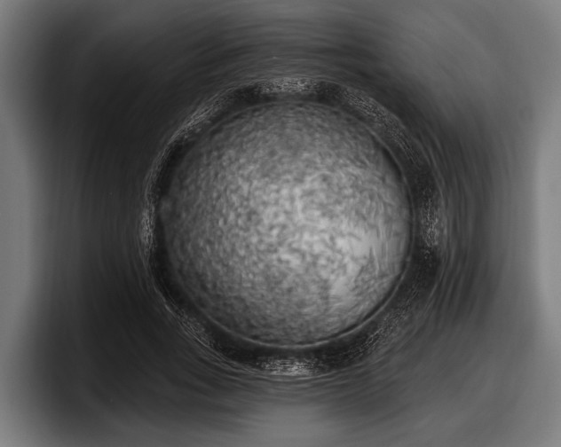 X0000097810735200803201417