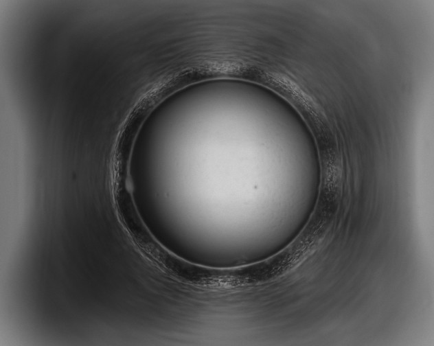 X0000097810736200803201417