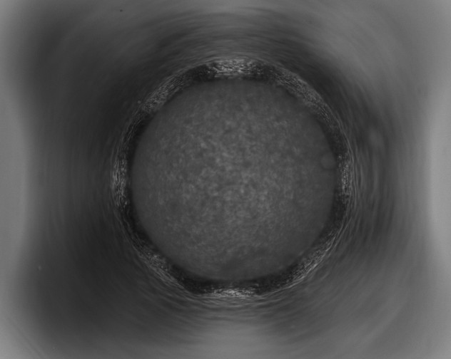 X0000097810737200803201417