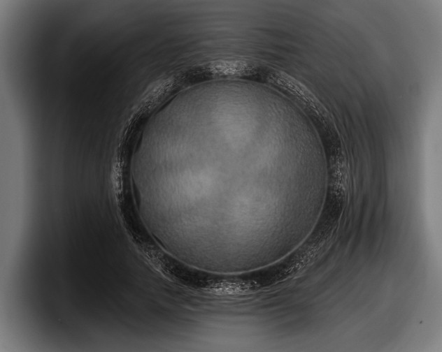 X0000097810738200803201417